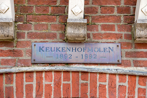 Flowers of Holland