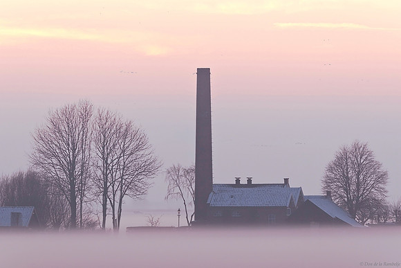 Arkemheen Winter Fog