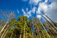 Landscape Photography