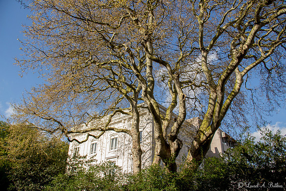 Italian Ambassador's Residence