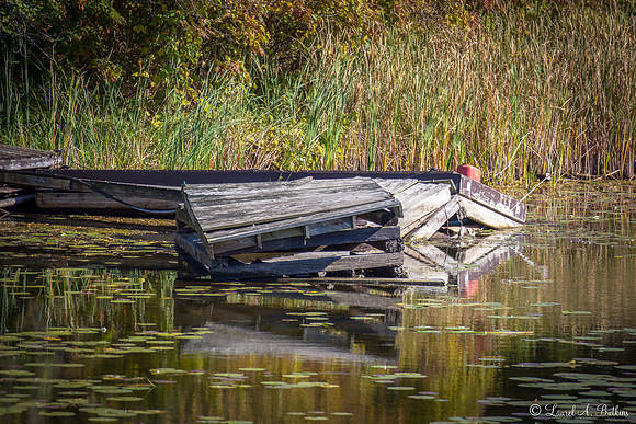 Reflections of Summers Past
