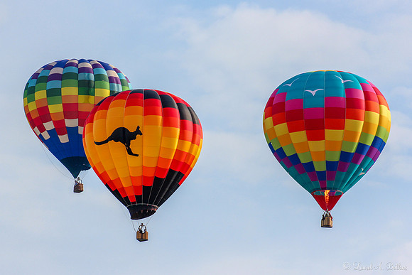Flying High