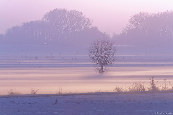 Winter Haze