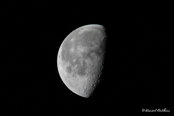 The Moon